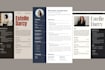 create a professional ats resume and CV that gets interviews