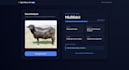 build a modern and responsive website