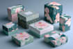 professional customized packaging design