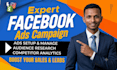 setup, manage and optimize high converting facebook ads campaign
