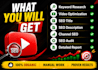 do complete youtube SEO