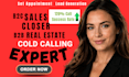 usa cold caller appointment setter b2b real estate cold calling b2b sales closer