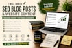 write seo blog posts and website contant