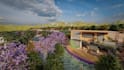 design and render professional landscape architecture masterplans