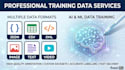 data annotation, sentimental analysis, ground truth