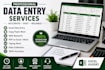 do accurate data entry, excel data entry, copy paste and web research