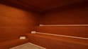 create 3d wellness center, spa, sauna, steam room therapy facility design
