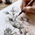 draw a botanical illustration