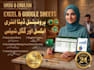 do urdu and english excel data entry and google sheets