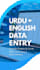 do urdu and english excel data entry and google sheets