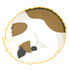 draw your pet animal digitally