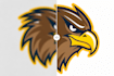 vectorize my logo, adobe illustrator, vector tracing file
