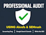 do SEO audit and on page optimization