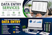do data entry, copy paste, excel data entry and web research