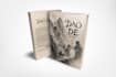 create a strategic book blueprint, outline and positioning plan