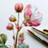 draw a botanical illustration