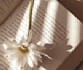 write a binge worthy and emotional web series screenplay