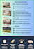 a professional digital product catalog or brochure