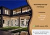 design professional canva social media posts and flyers