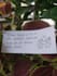 write beautiful handwritten notes and letters