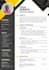 design a professional cv resume