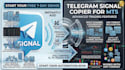 build an automated trading bot to copy telegram signals on mt5