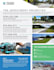 create visually appealing flyer designs