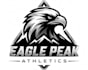 make wonderful style for eagle mascot logo design service