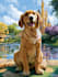draw disney pet portrait illustration