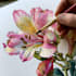 draw a botanical illustration