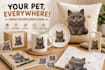 create a cute pet mascot from your photo