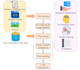 build you a private local llm or rag system that keeps your data safe