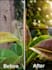 enhance, restore, and sharpen your any low quality images