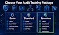 train you as a cybersecurity auditor for banking and fintech