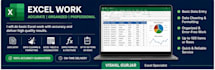 professional microsoft excel services with fast delivery only genuine clients dm