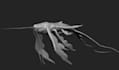 create a stylized game ready 3d fantasy character