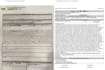 translate legal documents accurately and reliably
