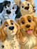 draw disney pets portrait illustration in disney