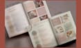 design editable canva brochure, ebook, workbook and carousel