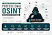 conduct professional osint research using public sources