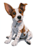 draw disney pet portrait illustration