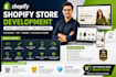 fix shopify theme bugs errors and build custom shopify store