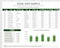 do ms word, excel and powerpoint typing and formatting
