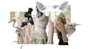 design a fashion collection and illustrations