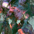 illustrate fantasy and concept art