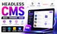 do headless cms integration, cms API web application with next js, react js