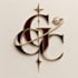 create aesthetic and elegant logo design