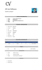 do professional ms word formatting, typing, and document design, CV