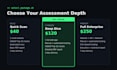 penetration testing and vulnerability assessment