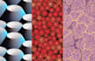 design stunning texture patterns to elevate your project